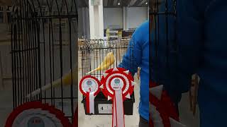 Download lagu Juara 2021, 3 Terbaik Yorkshire #yorkshirecanary #birdshow #champion mp3