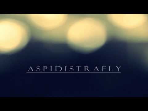 Aspidistrafly - Moonlight Shadow