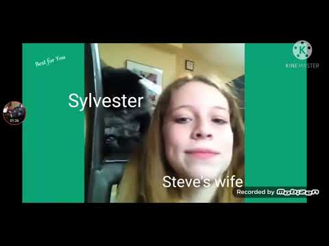 talking kitty cat vines