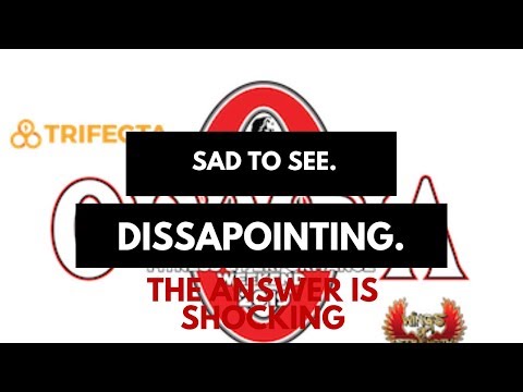 2019 Mr Olympia Prejudging wrap up! (what I saw)