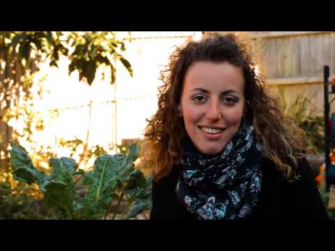 2018 11 TB 241 Bondi Rd community garden [Sophie Lemad]