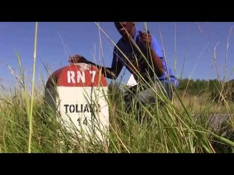 HAPPY By Pharrell Williams - WE ARE FROM TOLIARA #HappyDay