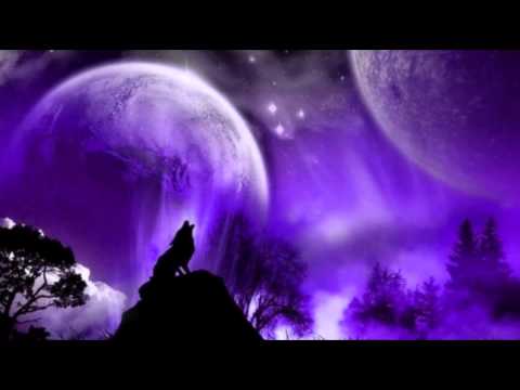 The Beau Brummels - The wolf of velvet fortune (1967)