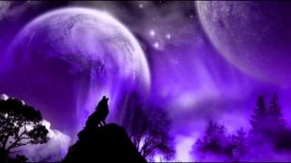 The Beau Brummels - The wolf of velvet fortune (1967)