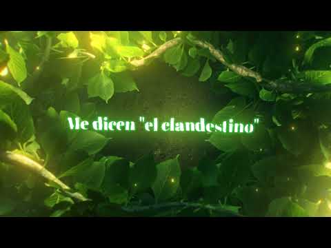 YoSoyMatt - Clandestino [Visualizer]