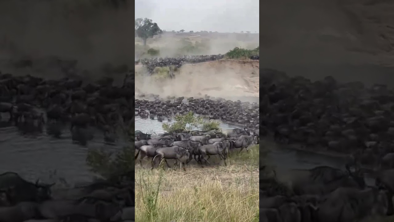 River crossing – Mara