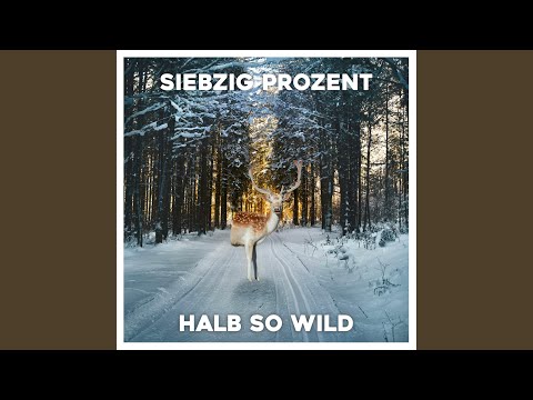 Halb so wild (feat. Vicious C)