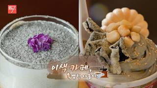 이색 카페, 특별한 나들이 / 강원매거진7 / [NOW 강원] / G1방송 / 260814