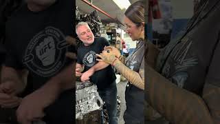 Download lagu TikSave.io☰Download TikTok videoDownload TikTok video without watermark for freeDiscover mp3