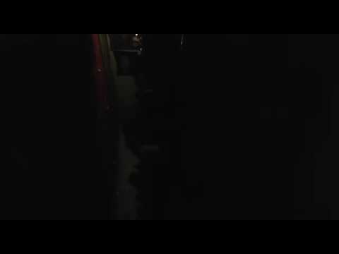 ENTEBBE SOUNDSYSTEM * GUSSIE P & PATRIXX  @ WICC London 121116