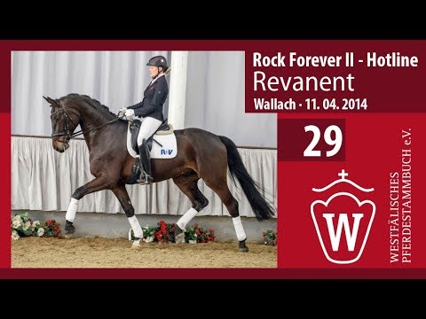 29 Revanent Wallach v. Rock Forever II -  Hotline