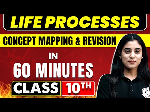 Life processes in 60 Minutes | Science Chapter 5 | Class 10th CBSE Board