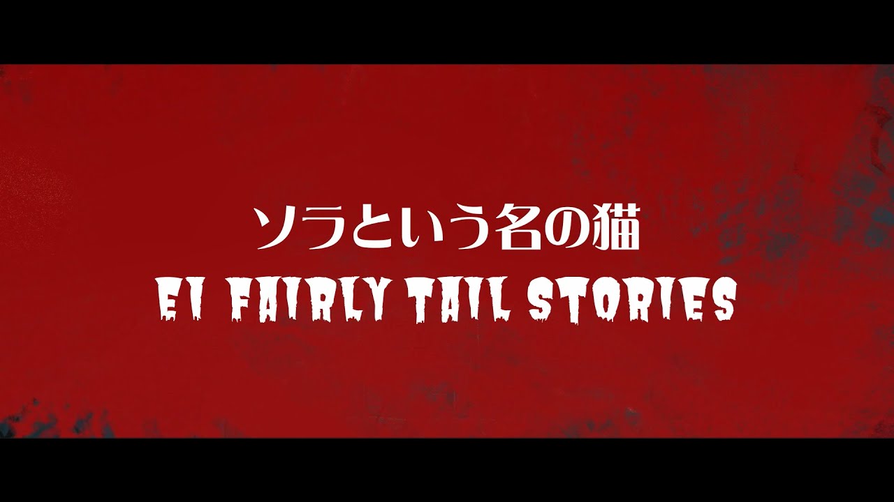 【EI不思議な話】ソラという名の猫