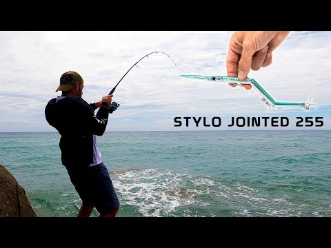 Fishing with Jack Fin's Stylo Jointed 255