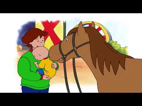 Cartoon Caillou | Caillou and the Horse |  | Cartoon Movie