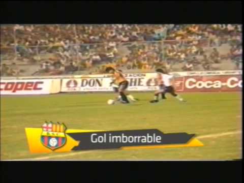 Golazo de Rubén Darío Insúa, Copa Libertadores 1991