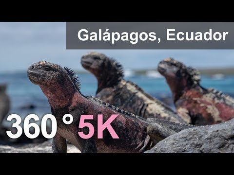 Amazing 360 videos