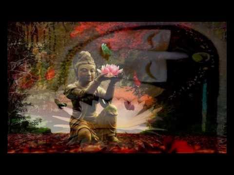 The Lotus Eaters    ڰۣڿڰۣ ♥ ڰۣڿڰۣ       PAUL AVGERINOS