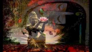 The Lotus Eaters    ڰۣڿڰۣ ♥ ڰۣڿڰۣ       PAUL AVGERINOS