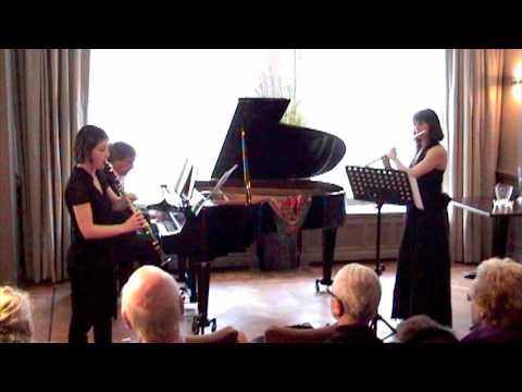 Prélude à l'après-midi d'un faune. Flute, clarinet and piano arrangement  (Webster)