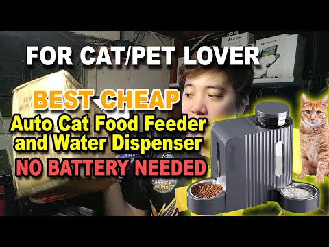 Automatic Cat Food Feeder & Water Dispenser Review — Cheapest No-Battery Pet Feeder! Easy Install