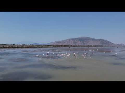 Παραλία Λούρου