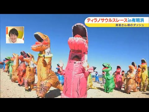 「ティラノサウルスレース in 有明浜 」に宮武アナ、奥富アナ！？が参戦！｜いまドキッ！（2022年11月9日放送）