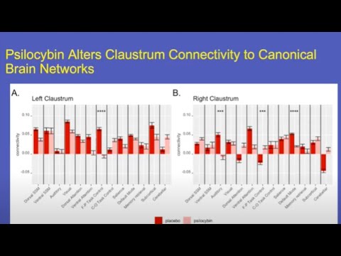 MINDSET Lecture Series: Roland Griffiths, PhD