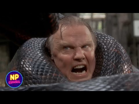 Serpiente Se Come A Un Hombre Entero | Anaconda (1997) | Now Español