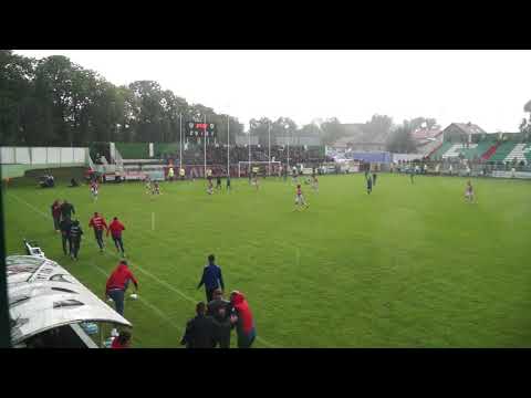 Inđija - Crvena zvezda 1:2 | Četvrtfinale Kupa Srbije 2019/20. (2.6.2020.)