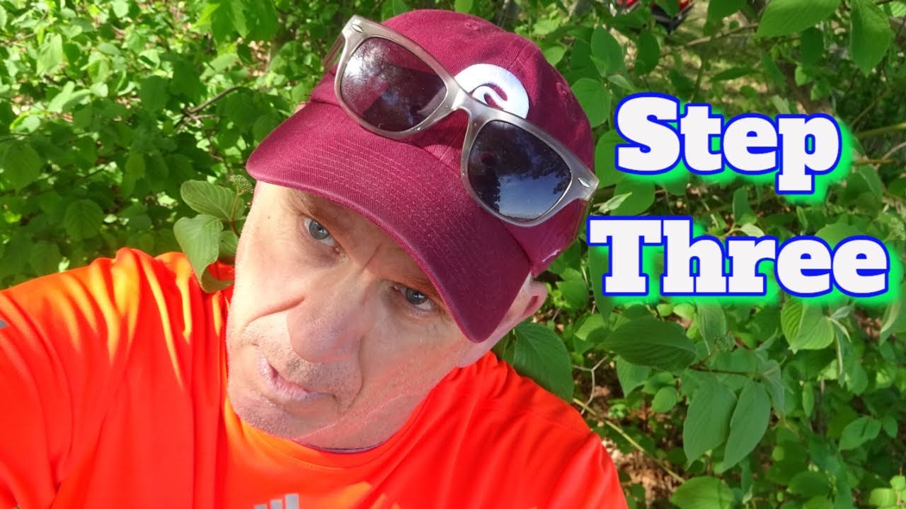 AA For Beginners /Step 3