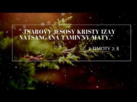 Fihirana FFPM Hira 102  Reharehako  ny hazo