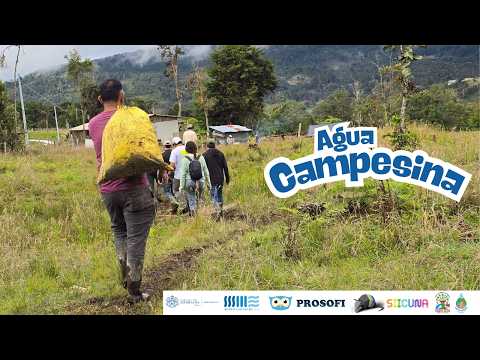 Agua Campesina: Una alianza por el cuidado y la gestión del agua en la ZRC de Venecia, Cundinamarca