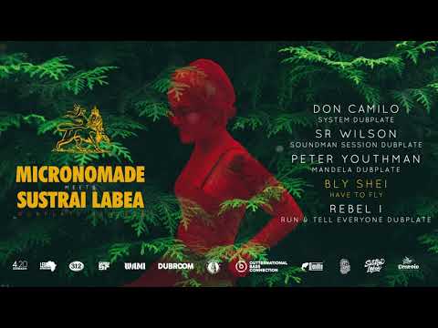 🔥 Bly Shei  - Have to Fly 🔥 (Remix x Micronomade & Sustrai Labea) 2020