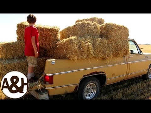 11-year-old drives pick-up while Dad bucks bales...and more