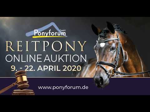 TIFFANY FOR BREAKFAST 10j. braune Stute v. Top Der Da - Durello