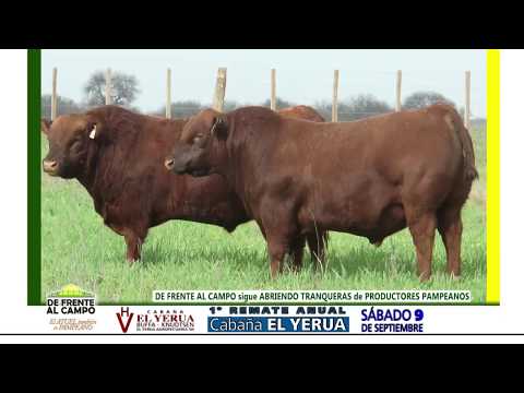 DE FRENTE AL CAMPO junto a CABAÑA "EL YERUA" -1° REMATE - SAB.9-SEP.-