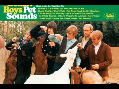 The Beach Boys Pet Sounds Album Review