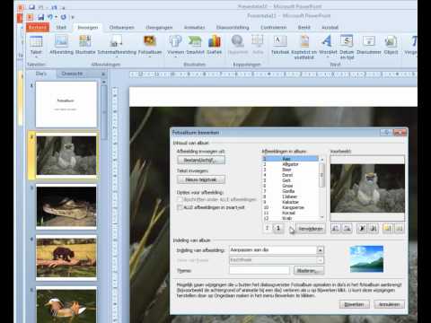 Fotoalbum in PowerPoint