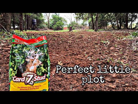 Expanding My Food Plot Planting Evolved Harvest 7 Card Stud