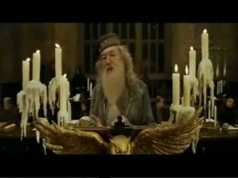 Harry Potter und der Plastik Pokal Teil 2