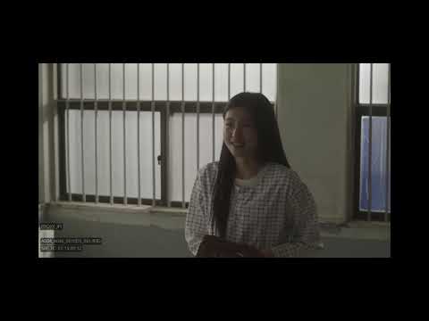 비디오 22