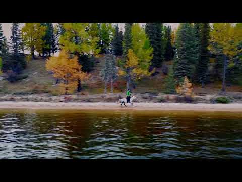 Cili - Haich, chuluu, daavuu. (Official Visualizer)