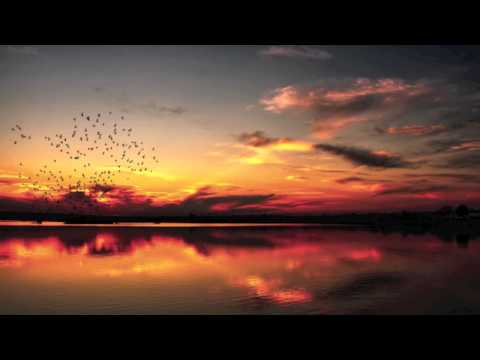 Phaeleh - Afterglow (Akira Kiteshi Remix)