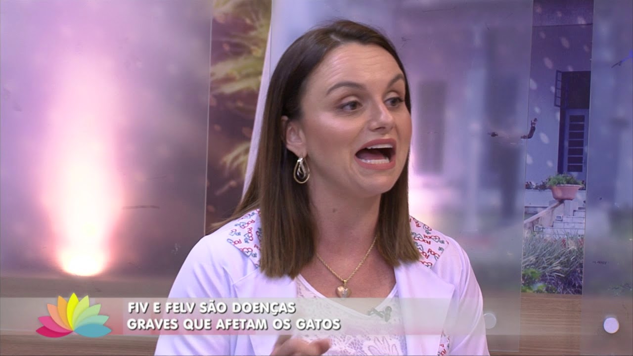 FIV e FELV são doenças graves que afetam os gatos
