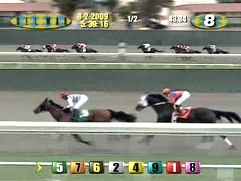 2009 San Diego Handicap