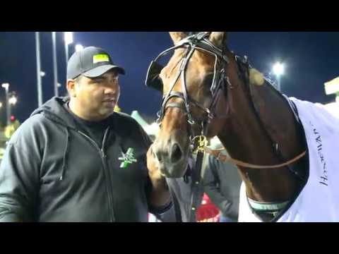 2016 Breeders Crown Open Pace-Always B Miki