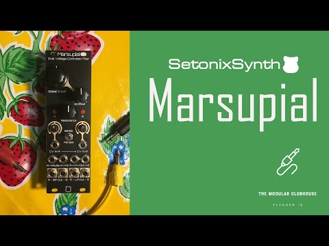 Episode 67: SetonixSynth Marsupial | Eurroack Dual Voltage Controlled Filter