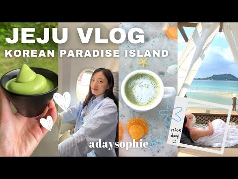 JEJU VLOG 🏝️ 5 dias na Ilha Paraíso Coreana (melhores restaurantes, comida de jeju, seogwipo)