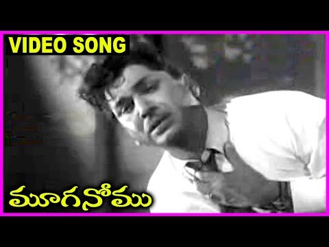 Mooga Nomu - Telugu Super Hit Video Song -  ANR , Jamuna